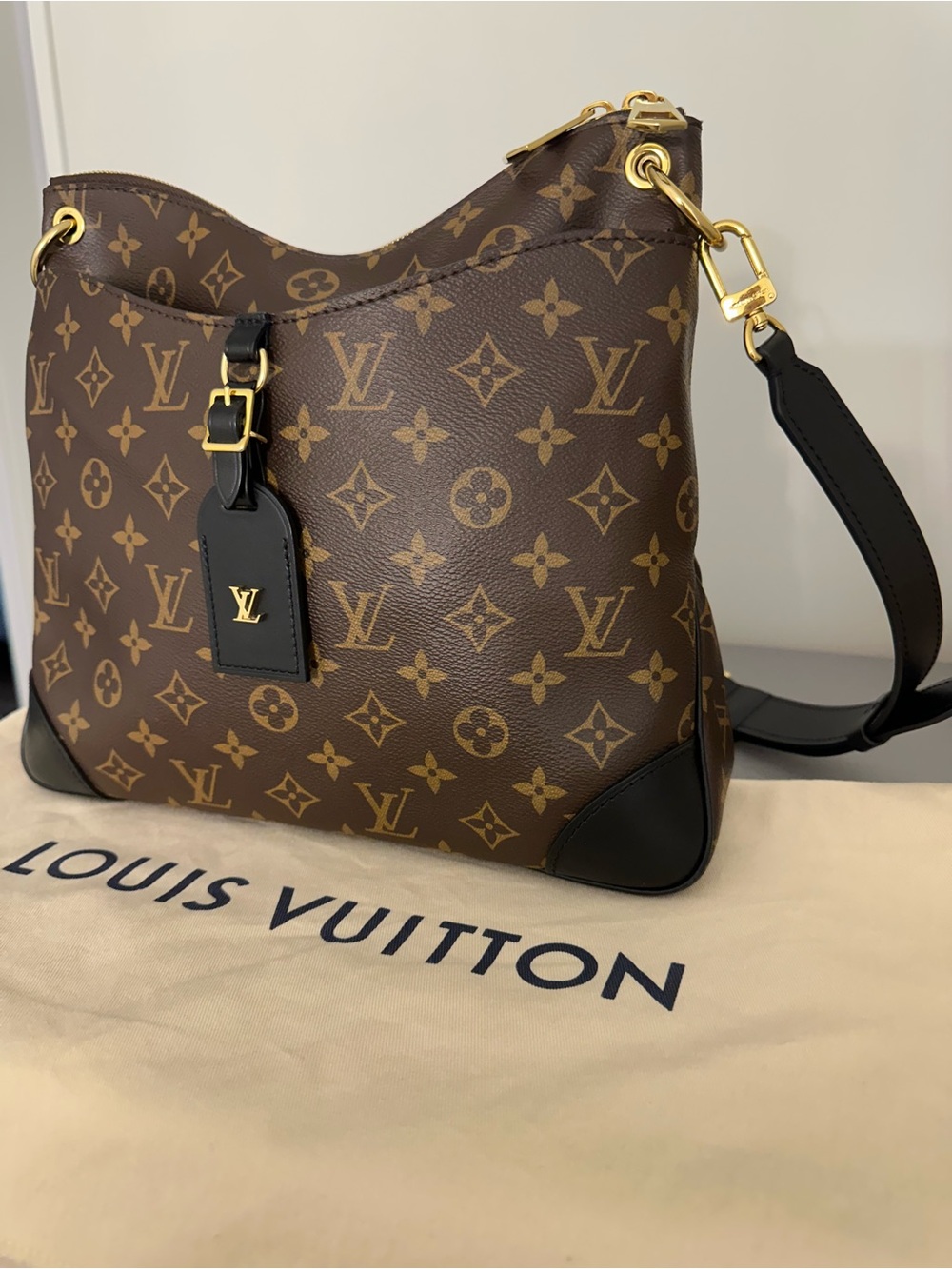 Louis Vuitton Odéon MM